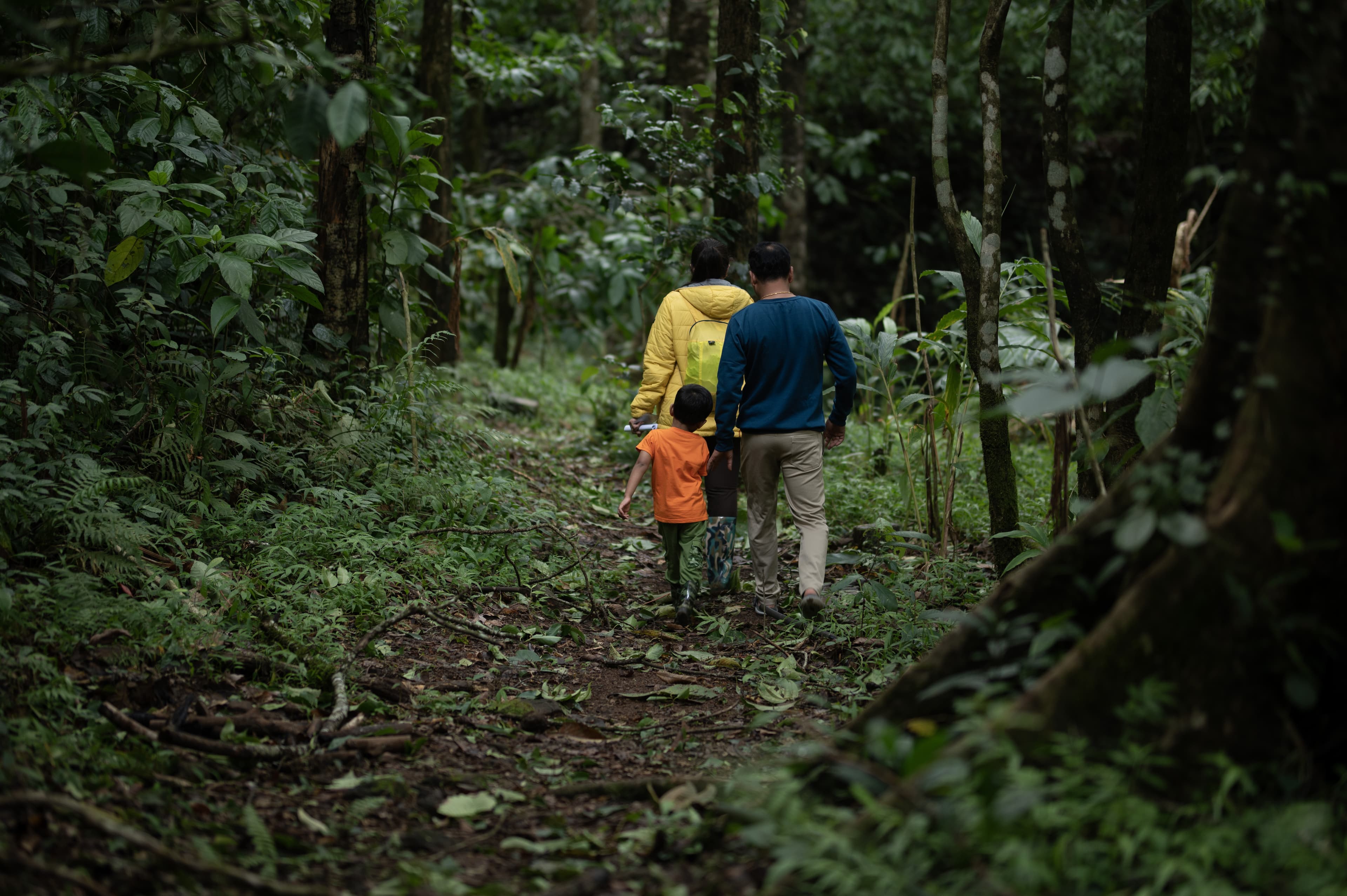 Family Roots: Two Landscapes