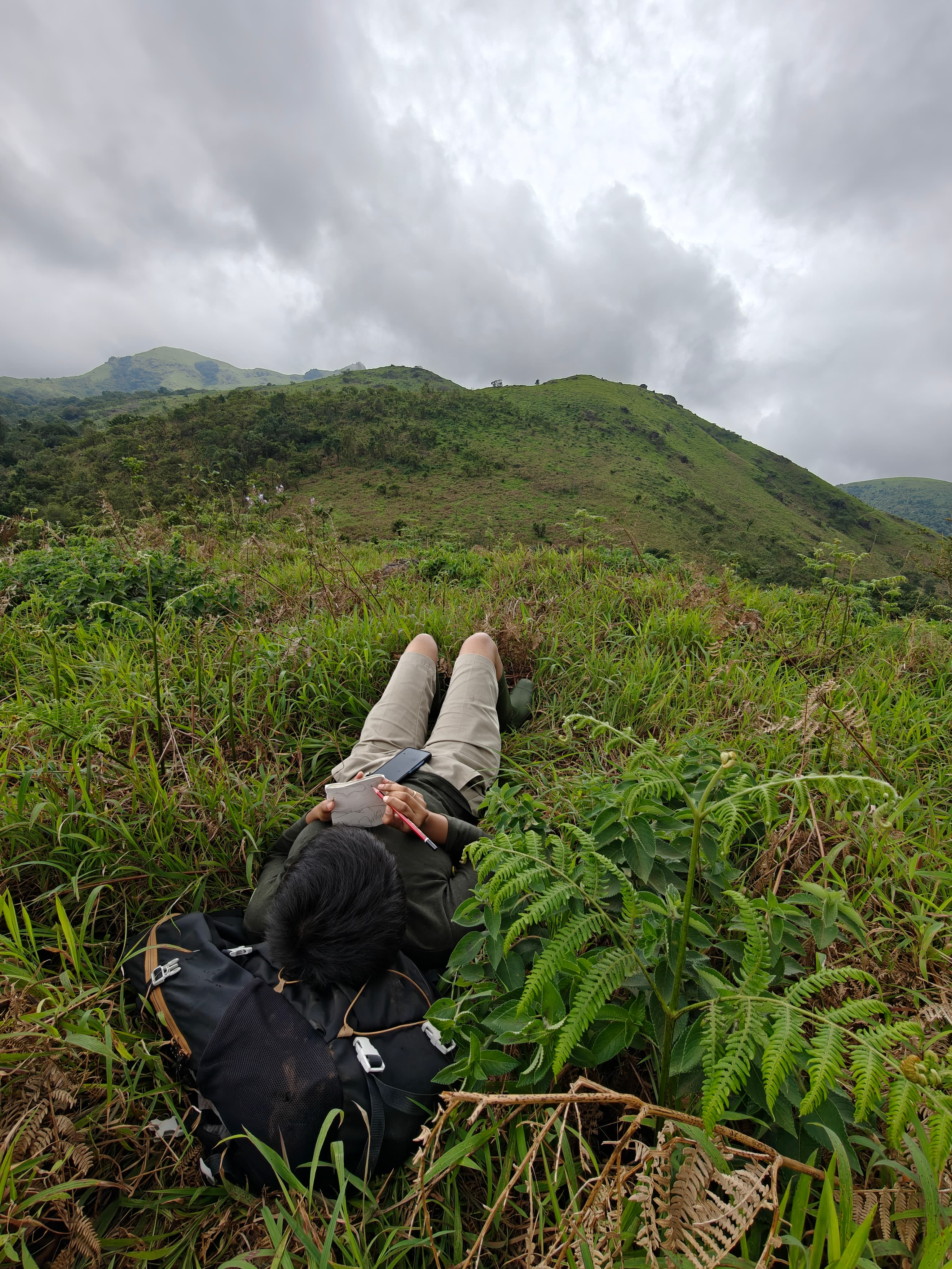 The Fungi Foray - 2nd Edition